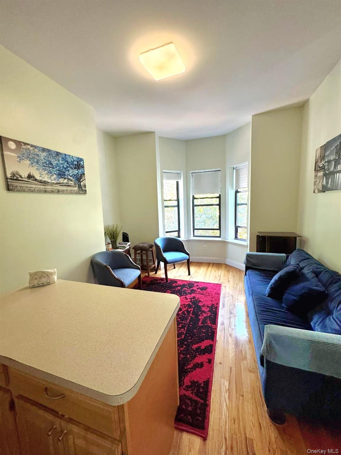 1231 Putnam Avenue Brooklyn, NY 11221 - Photo 7 of 20 a living room with furniture and a couch