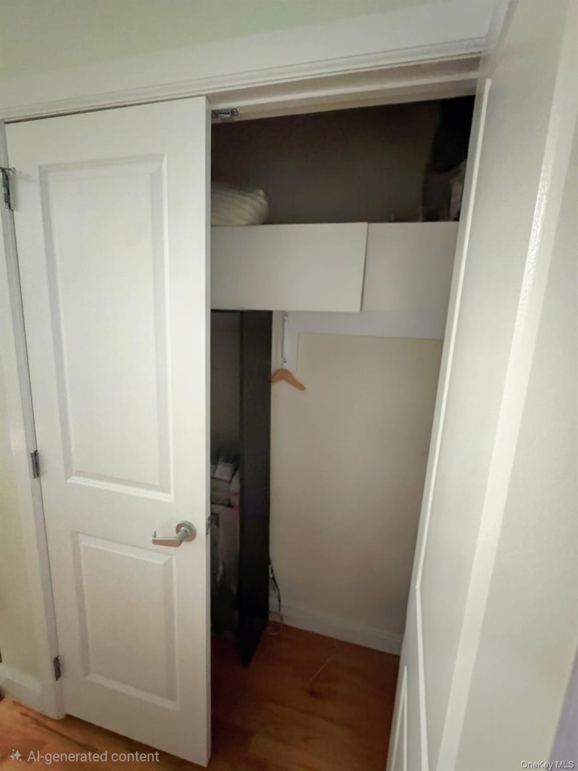 1231 Putnam Avenue Brooklyn, NY 11221 - Photo 8 of 20 a view of closet