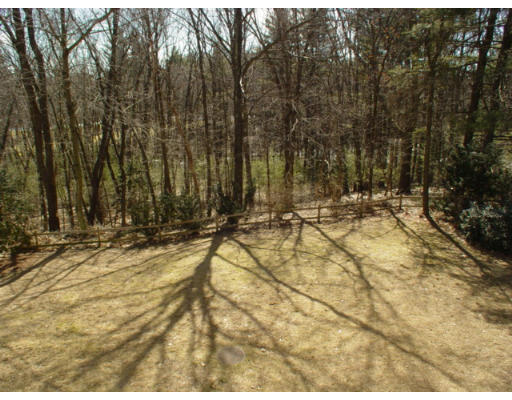 16 Chandler Road Andover, MA 01810 - Photo 17 of 20 Gallery Image 17