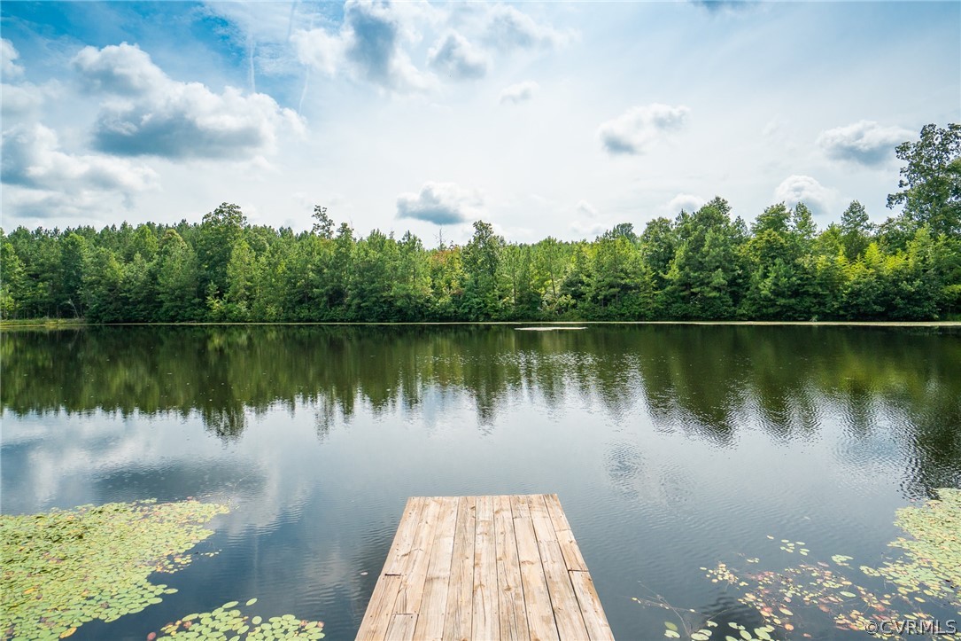 1540 Robertsons Road Blackstone, VA 23824 - Photo 15 of 50 Gallery Image 15