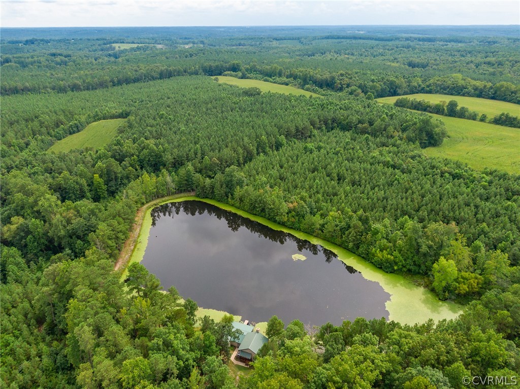1540 Robertsons Road Blackstone, VA 23824 - Photo 41 of 50 Gallery Image 41