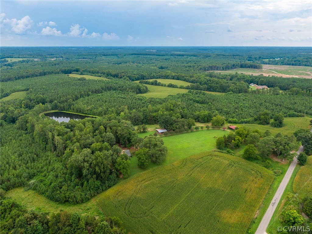 1540 Robertsons Road Blackstone, VA 23824 - Photo 45 of 50 Gallery Image 45