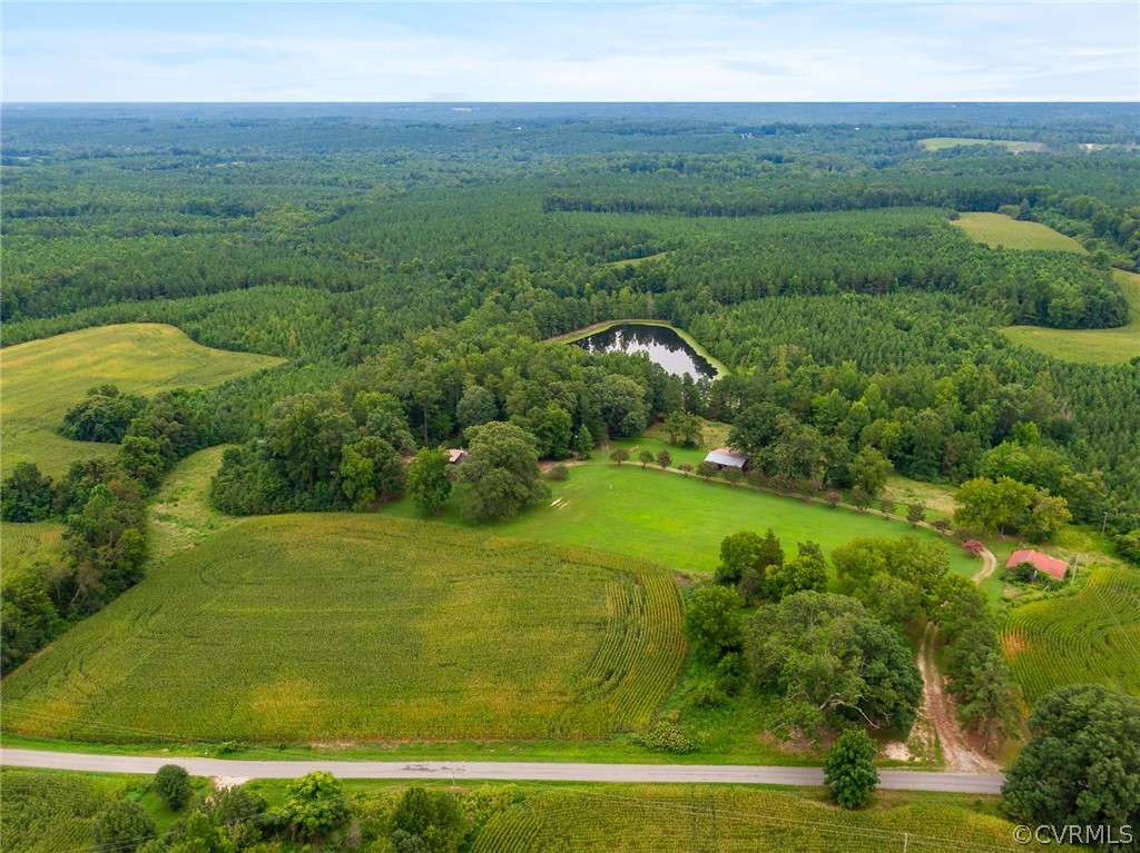 1540 Robertsons Road Blackstone, VA 23824 - Photo 46 of 50 Gallery Image 46