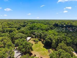17214 Chinaberry Road Lutz, FL 33558 - Photo 9 of 9