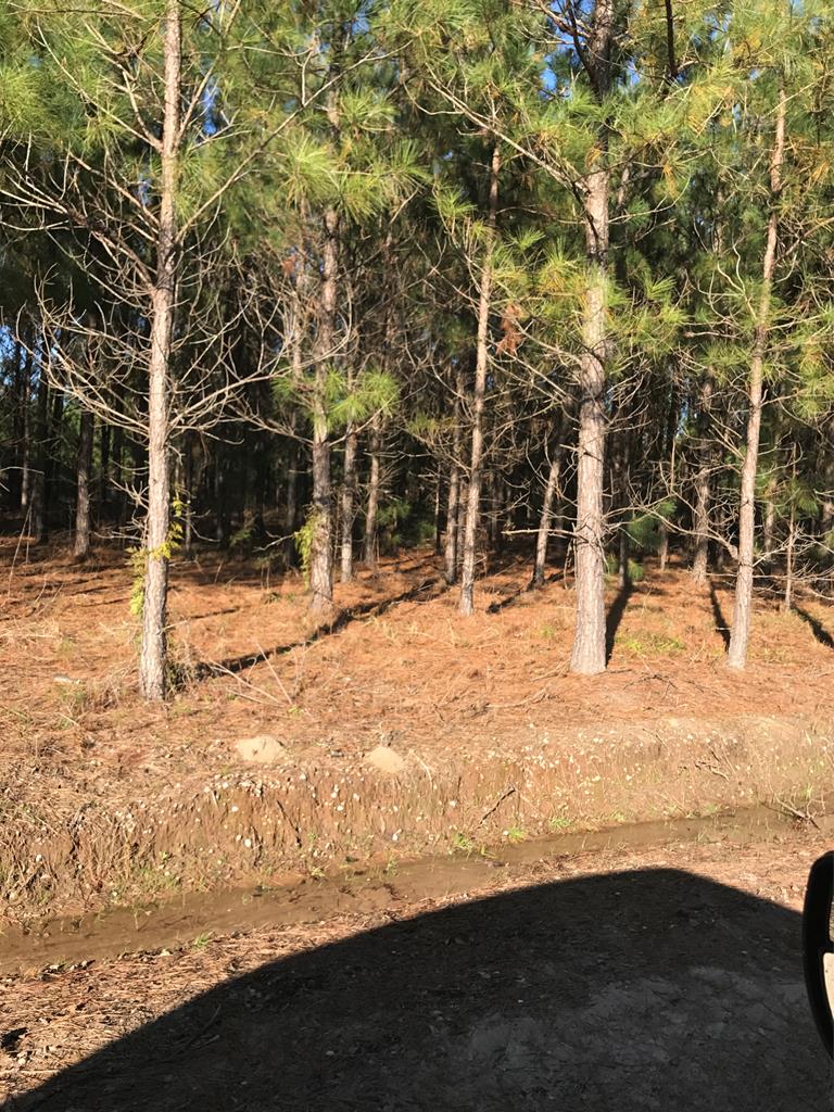 4616 South Springhill Road Gordon, AL 36343 - Photo 1 of 1
