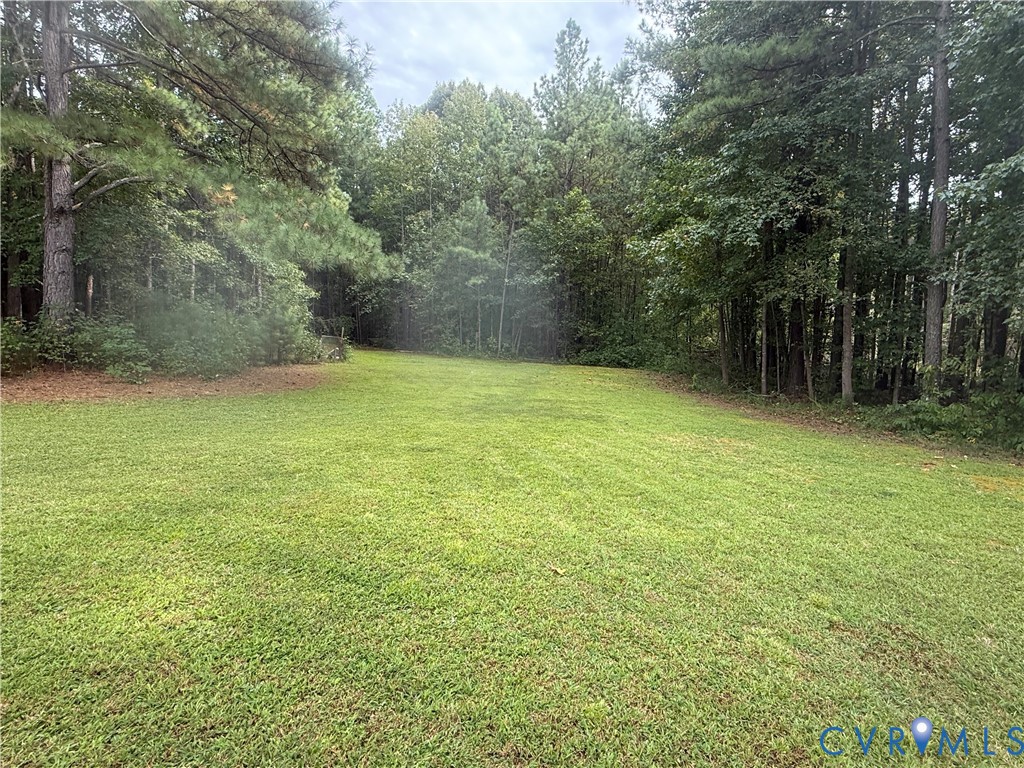 275 Doswell Road Blackstone, VA 23824 - Photo 8 of 9 a view of a field with trees in the background