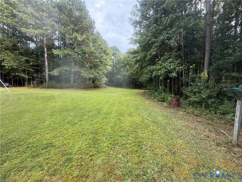 275 Doswell Road Blackstone, VA 23824 - Photo 9 of 9 a view of a field with trees in the background
