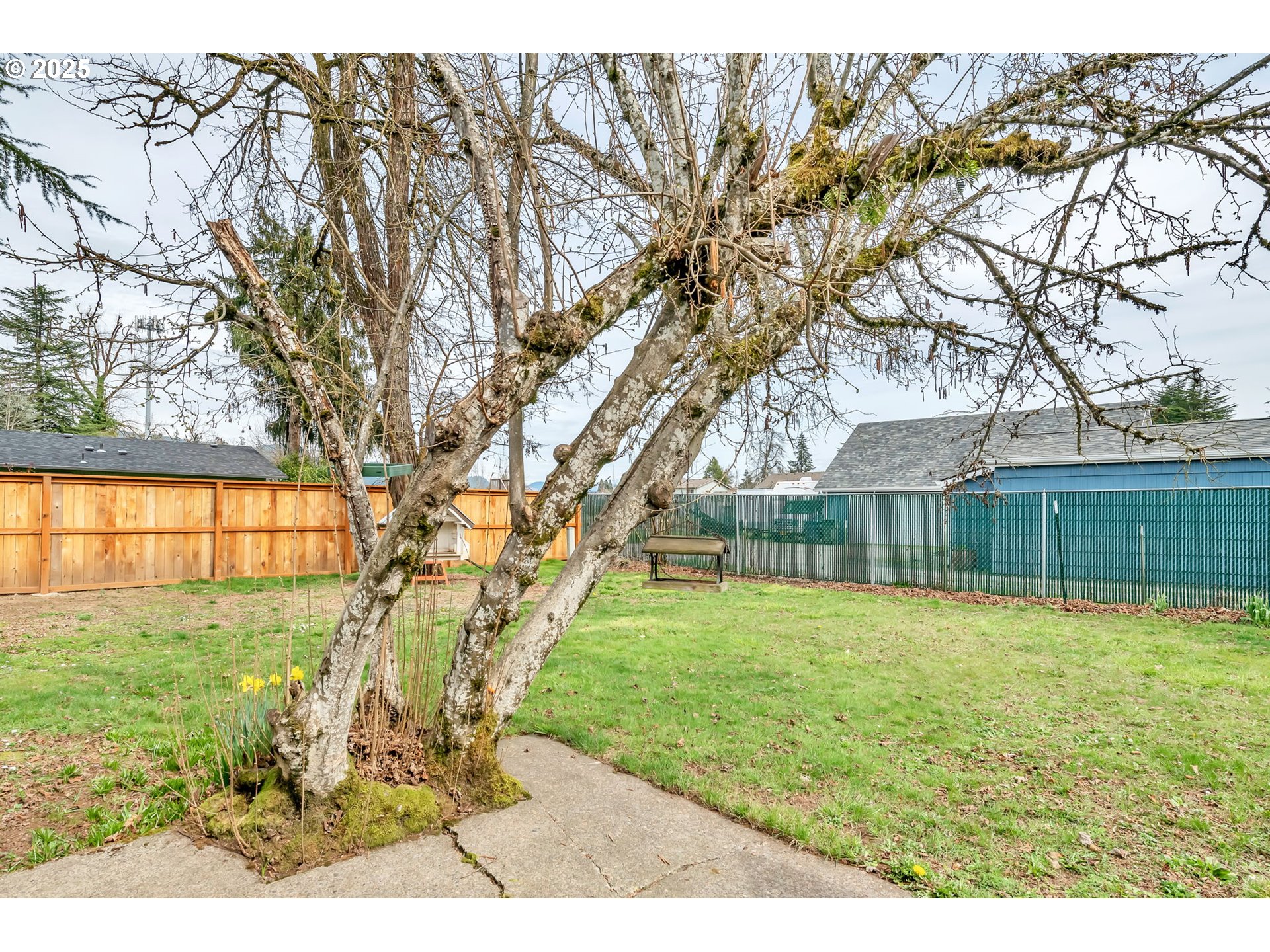 6112 Main Street, Unit 1002 Springfield, OR 97478 - Photo 9 of 44 Gallery Image 9