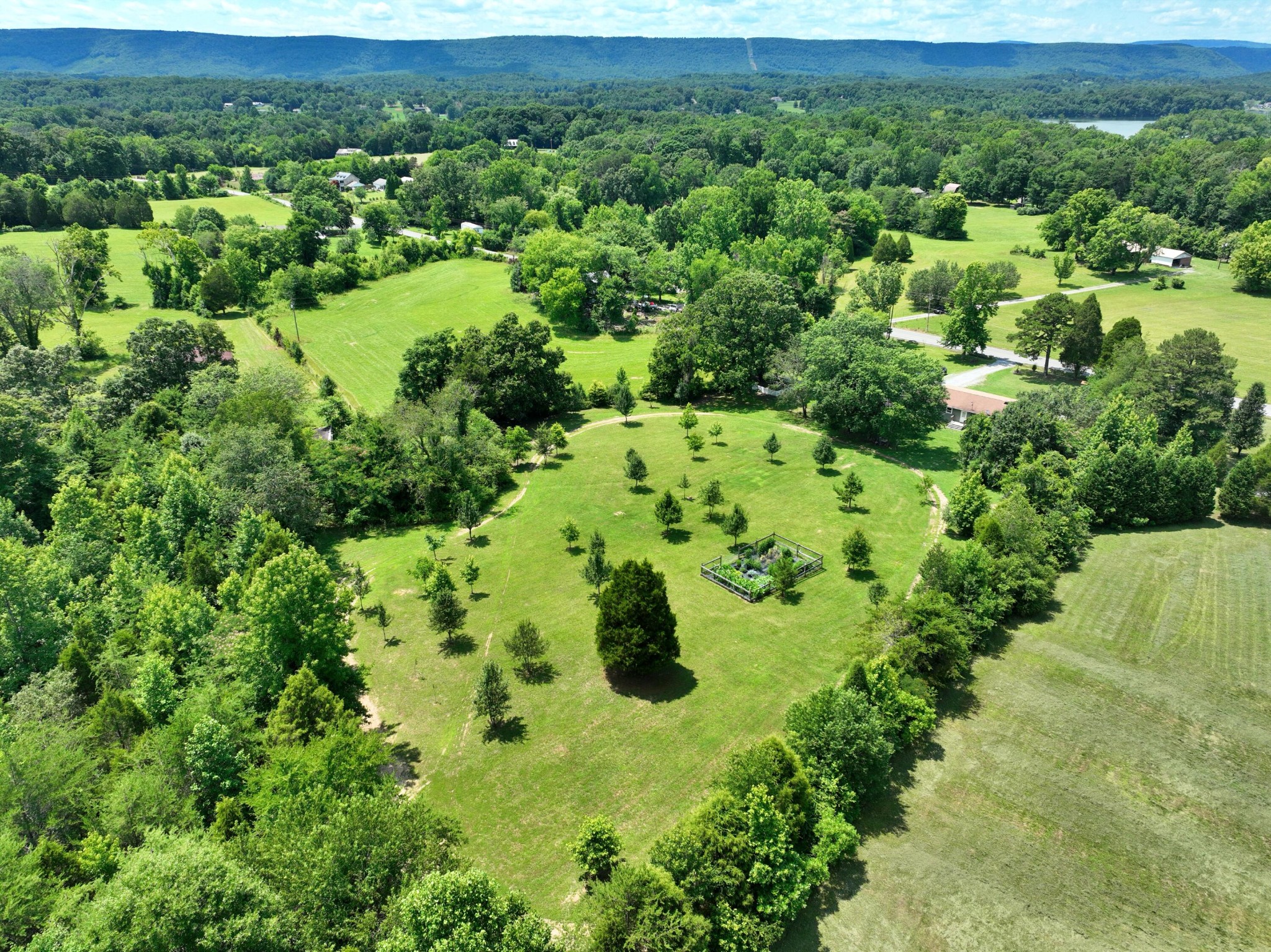 5858 Wolf Creek Road Spring City, TN 37381 - Photo 64 of 76