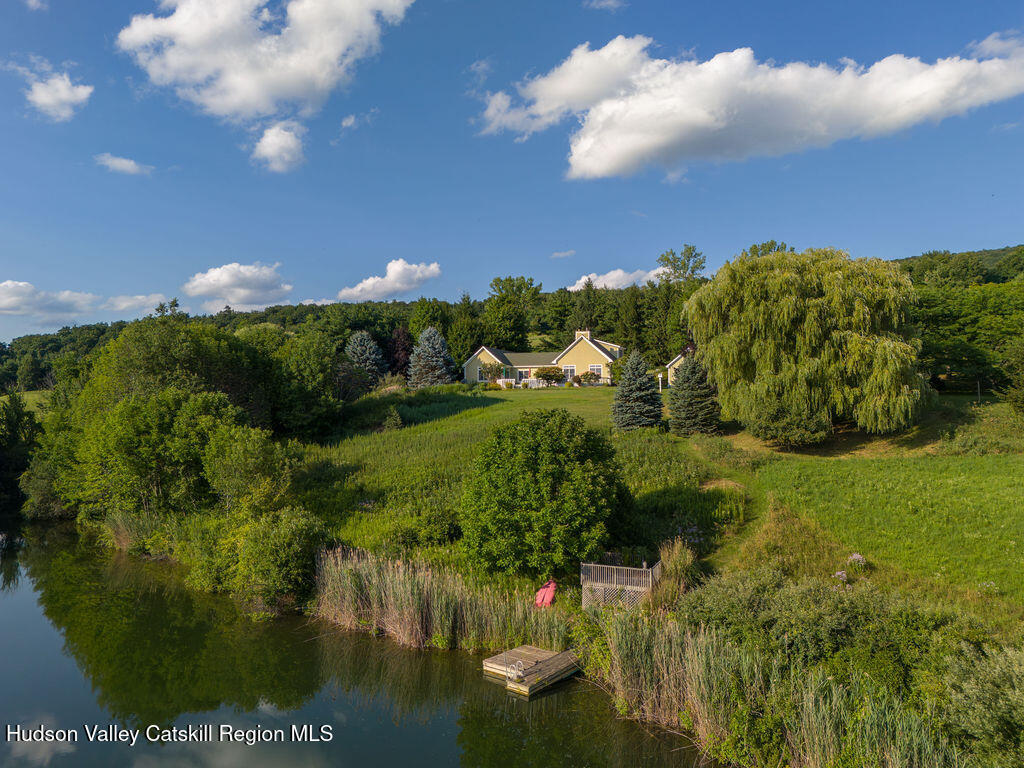 81 High View Farm Road Copake Falls, NY 12517 - Photo 4 of 57 Pond View
