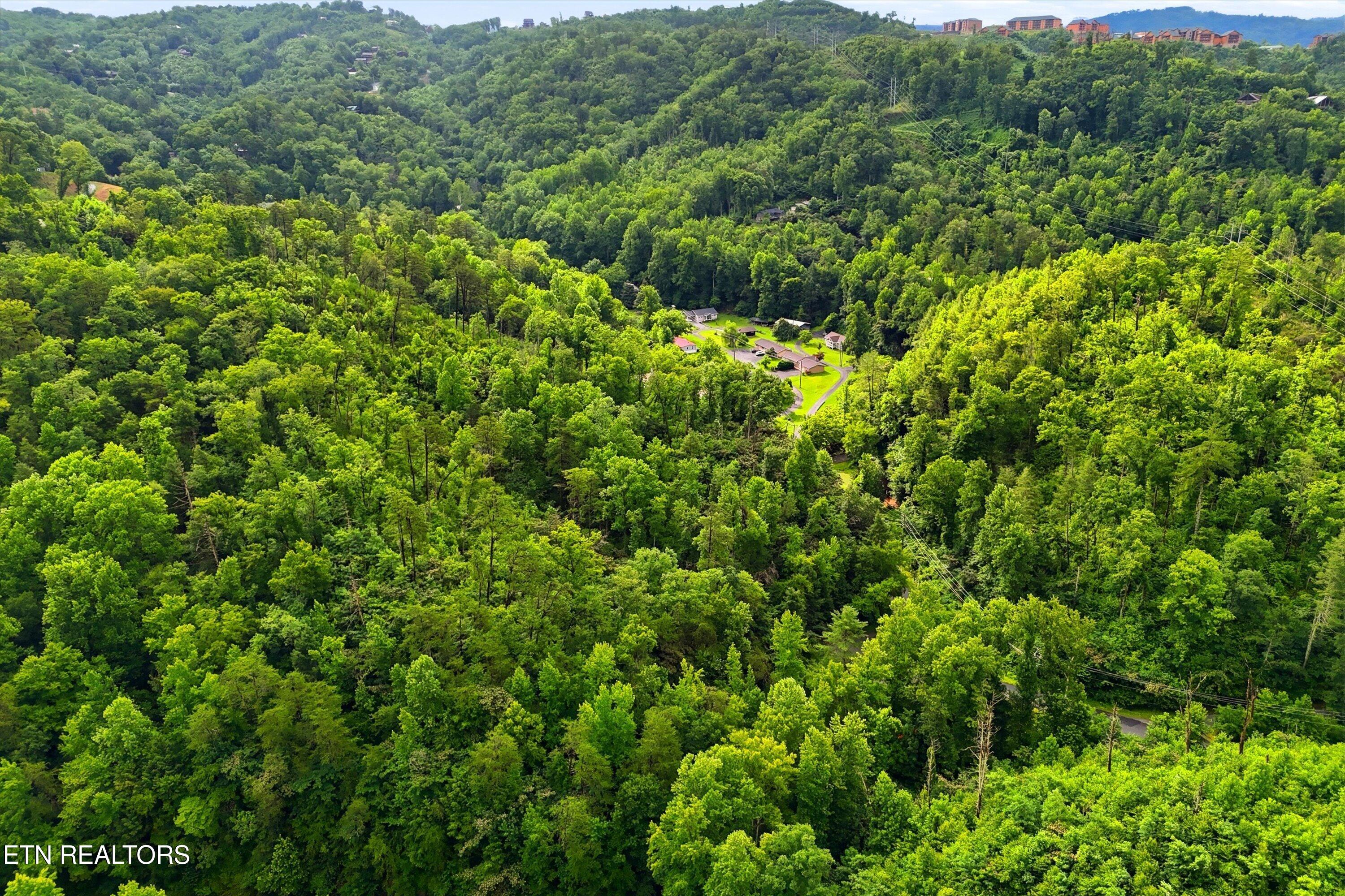 127 Beech Branch Road Gatlinburg, TN 37738 - Photo 18 of 18 25-FINAL-25