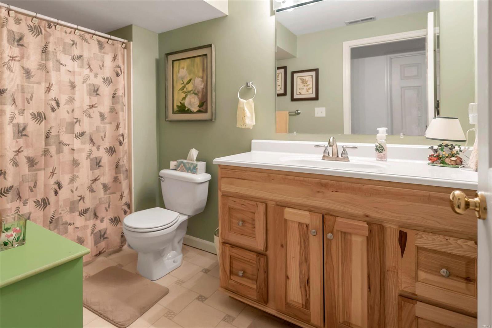 1702 Ridgeview Cir Drive Ballwin, MO 63021 - Photo 27 of 34