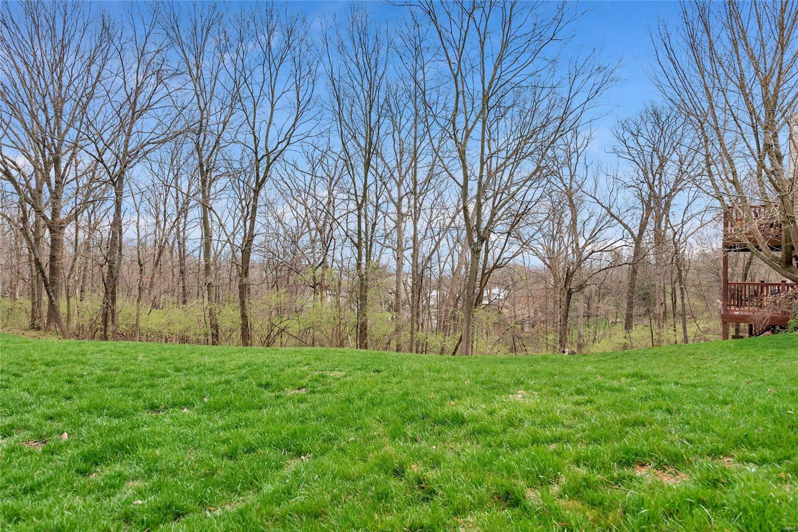 1702 Ridgeview Cir Drive Ballwin, MO 63021 - Photo 29 of 34