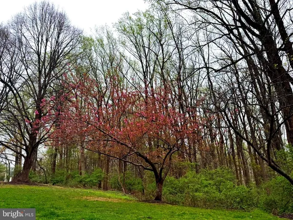 $825,000 | 4815 Cloister Drive, Rockville, MD 20852