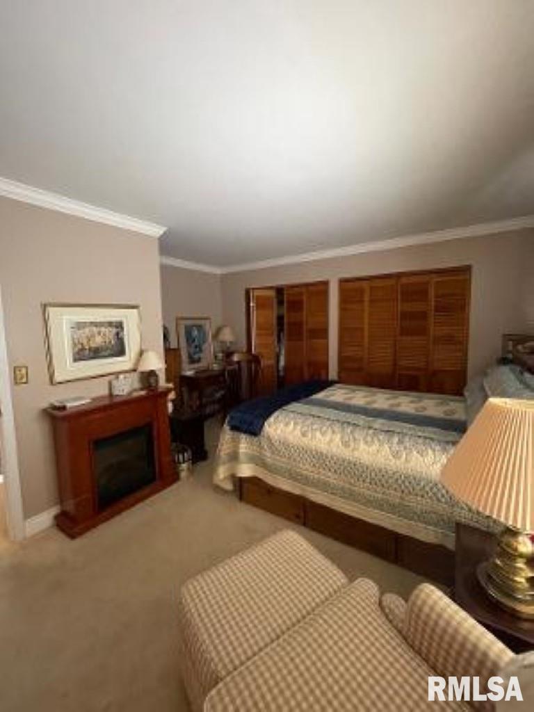 74 South New Thompson Lake Road Carbondale, IL 62901 - Photo 14 of 16 Gallery Image 14