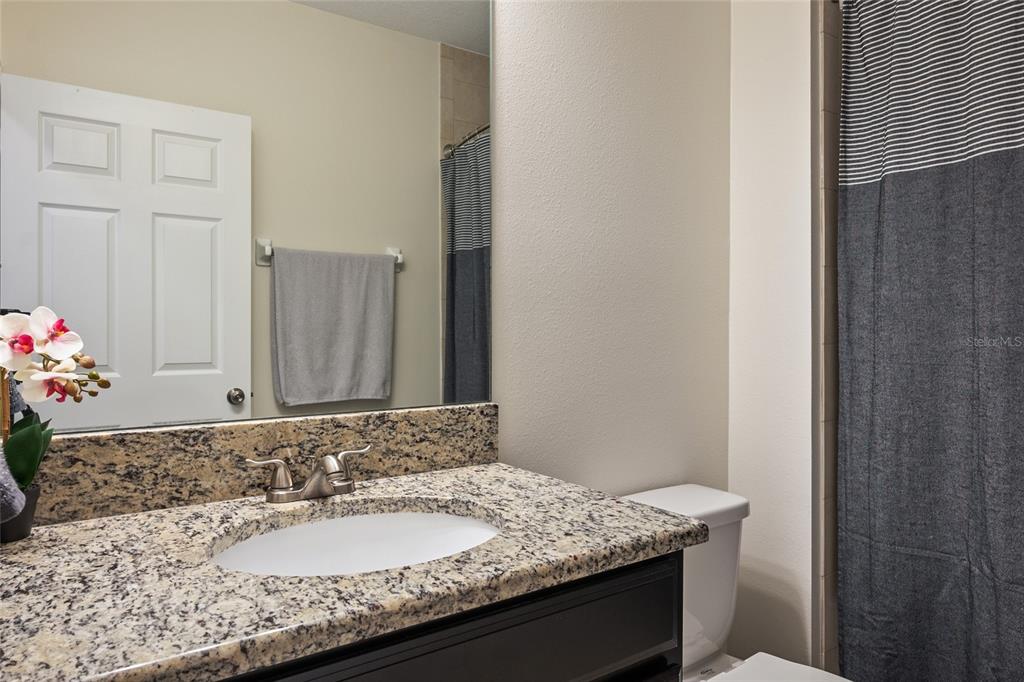 19041 Alfaro Loop Spring Hill, FL 34610 - Photo 17 of 39 a bathroom with a granite countertop sink and a mirror