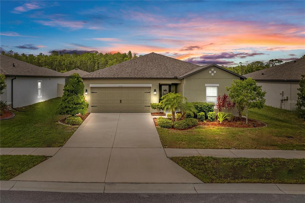 19041 Alfaro Loop Spring Hill, FL 34610 - Photo 39 of 39 a view of a house with entertaining space