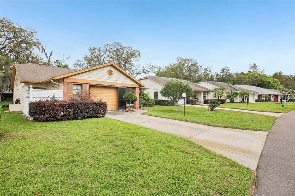 11622 Cocowood Drive New Port Richey, FL 34654 - Photo 1 of 31