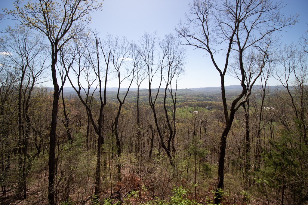 85 Mountain Way Ellijay, GA 30536 - Photo 23 of 29