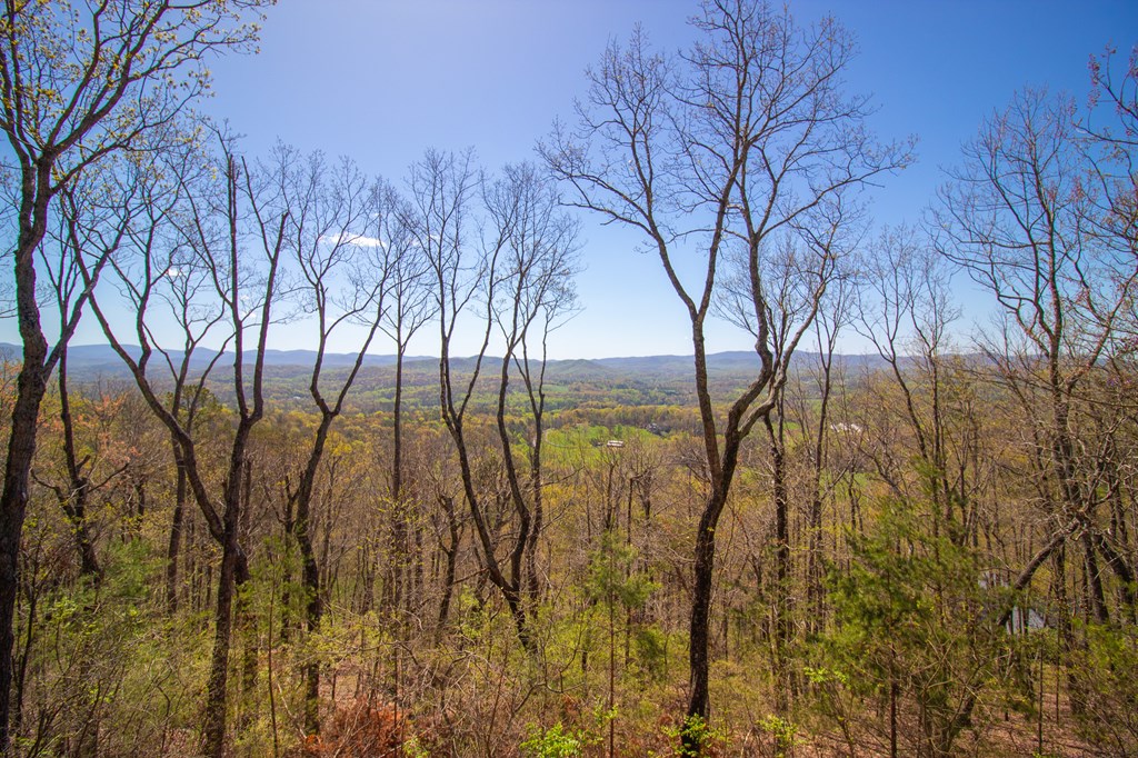 85 Mountain Way Ellijay, GA 30536 - Photo 24 of 29