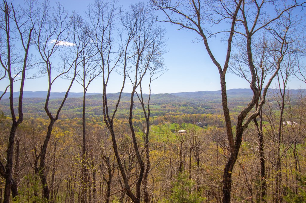 85 Mountain Way Ellijay, GA 30536 - Photo 25 of 29