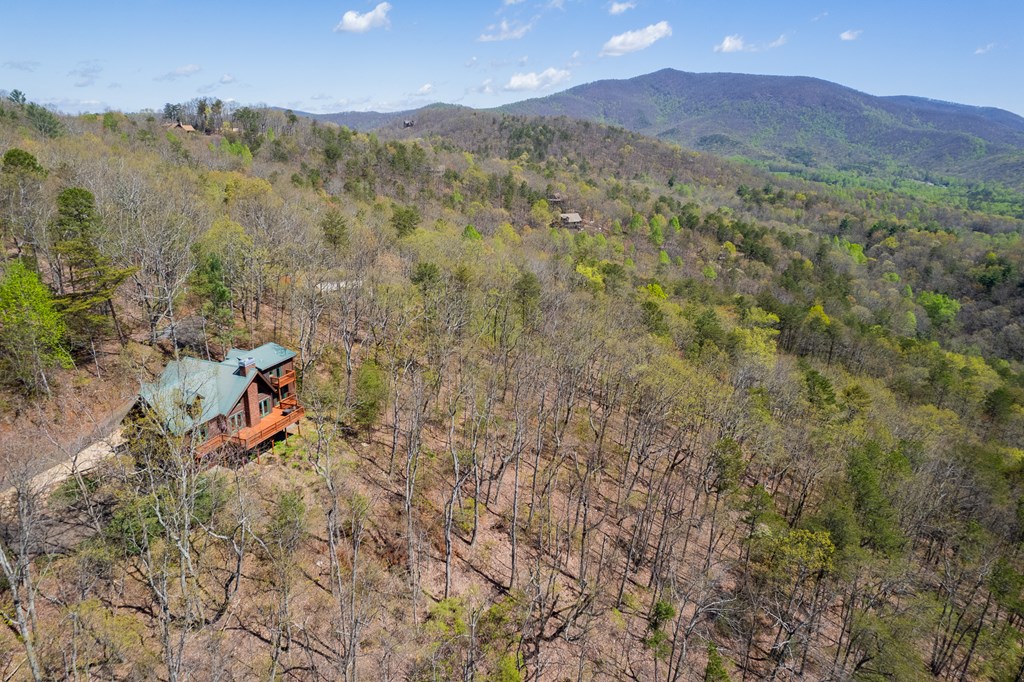 85 Mountain Way Ellijay, GA 30536 - Photo 28 of 29