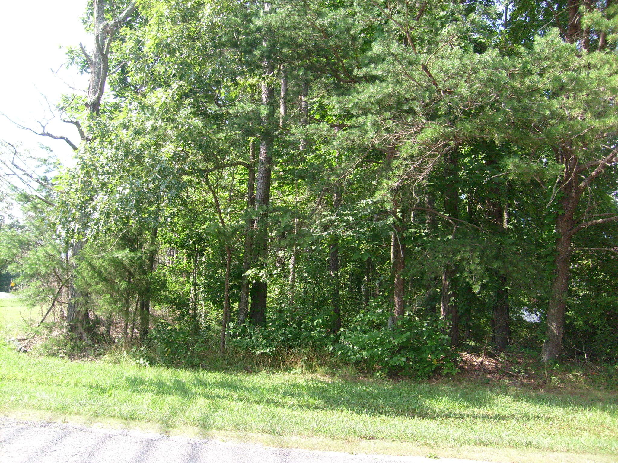 5001 Pawnee Road Crossville, TN 38572 - Photo 1 of 5 Front of lot
