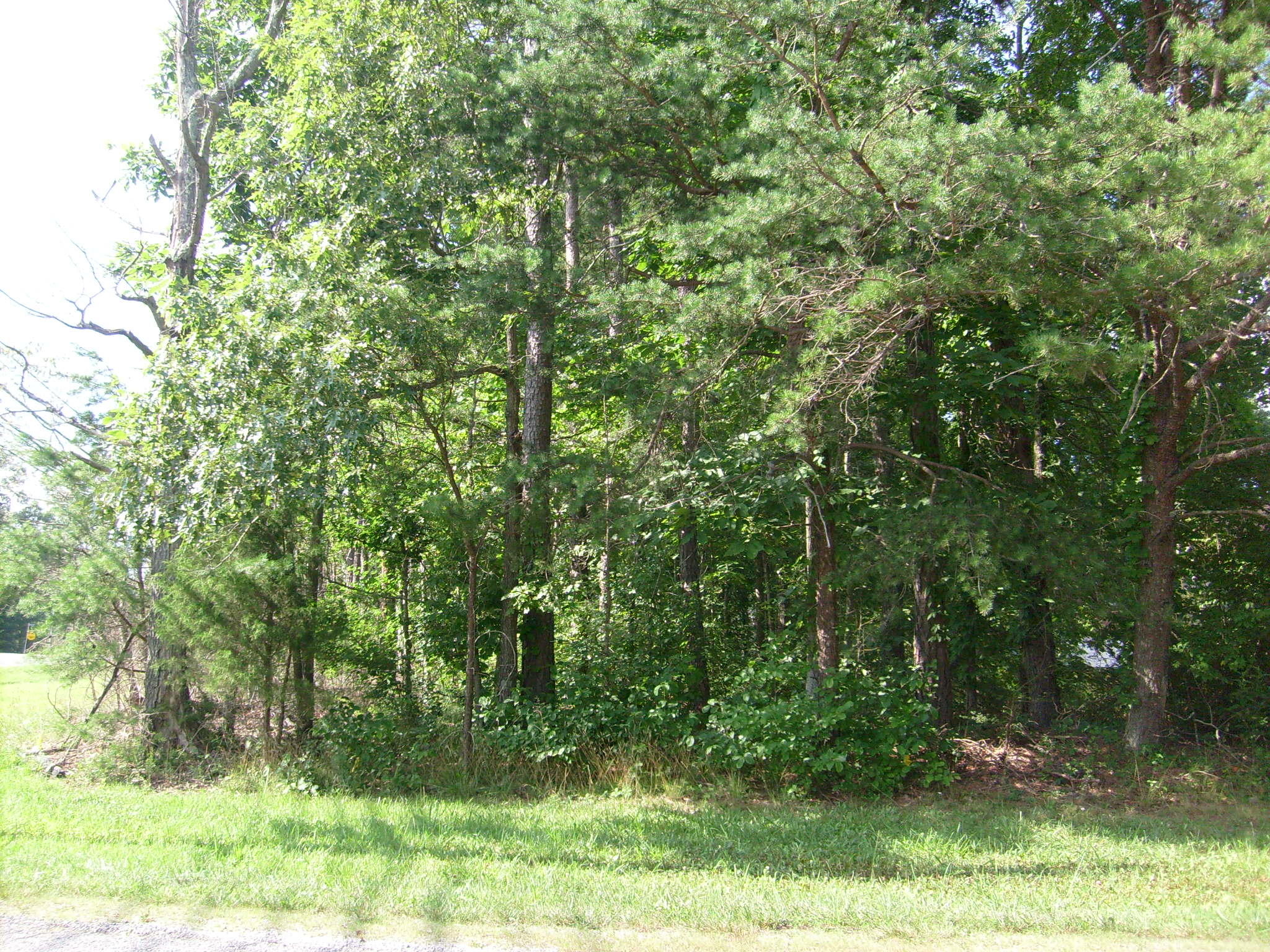 5001 Pawnee Road Crossville, TN 38572 - Photo 2 of 5 Level lot