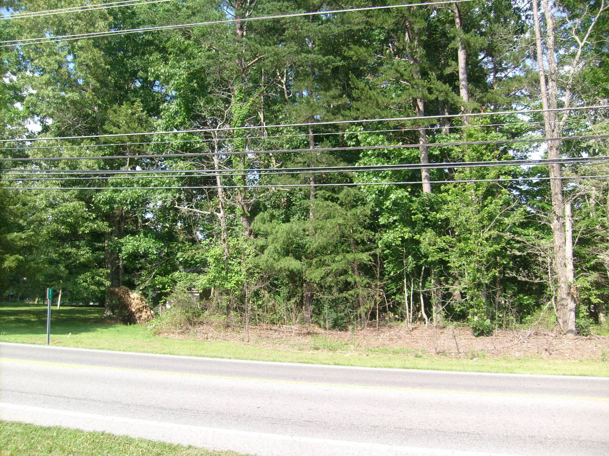 5001 Pawnee Road Crossville, TN 38572 - Photo 4 of 5 Soil test available