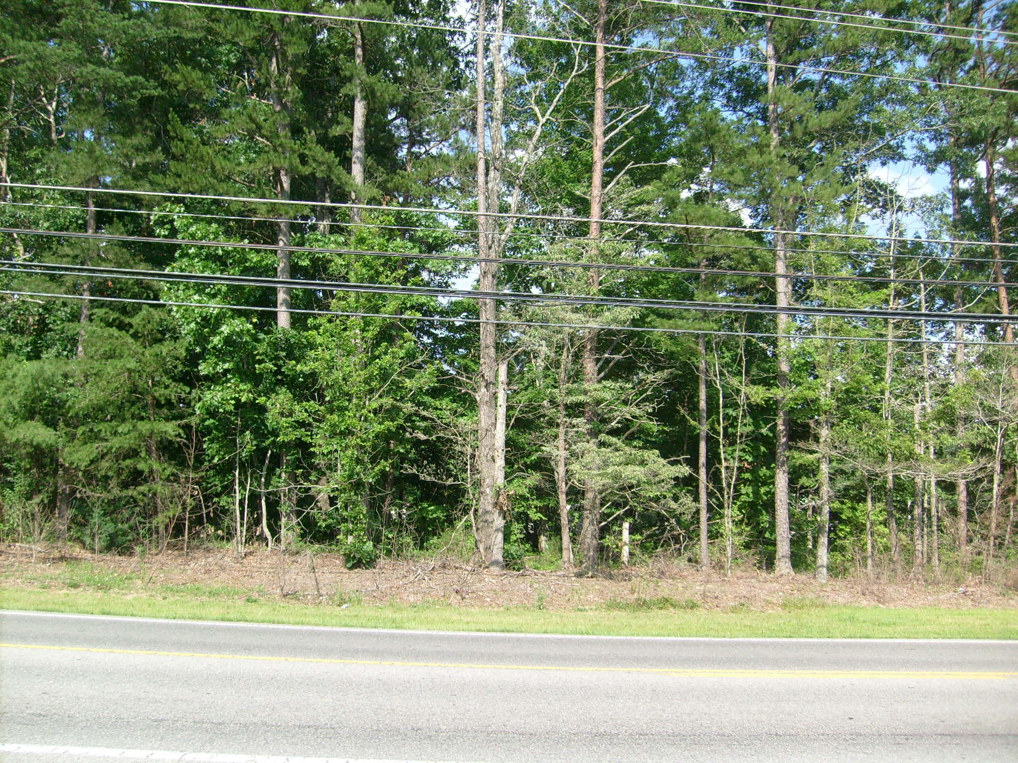 5001 Pawnee Road Crossville, TN 38572 - Photo 5 of 5 Another view
