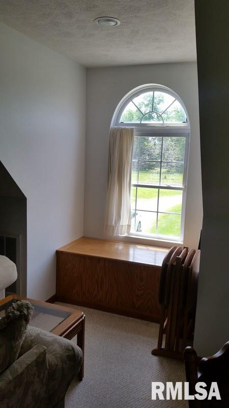 4255 Park Street Road Mulkeytown, IL 62865 - Photo 8 of 25