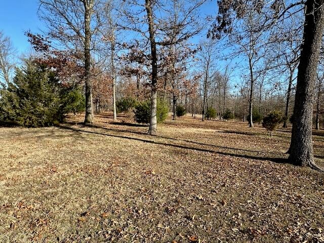 15748 South 4420 Road Bluejacket, OK 74333 - Photo 30 of 33 parklike