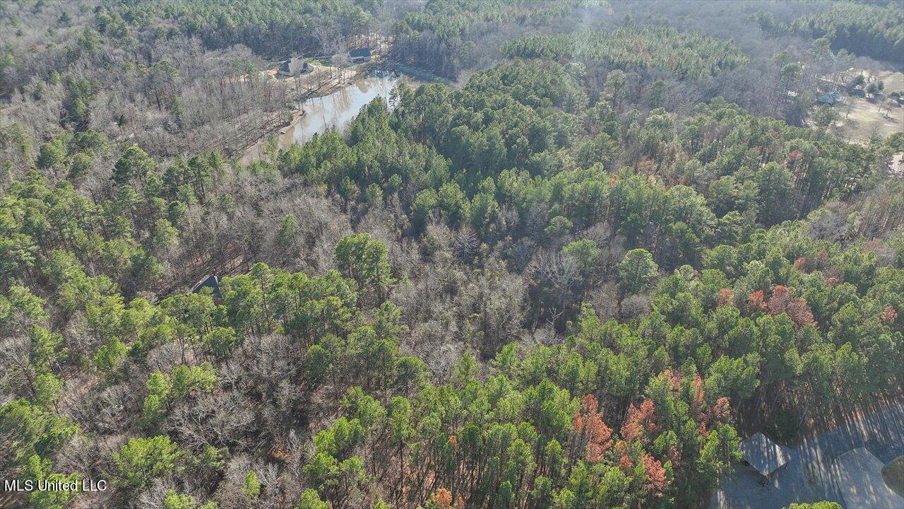 1074 Ridgeside Drive Brandon, MS 39042 - Photo 15 of 30 14-1074 Ridgeside Dr