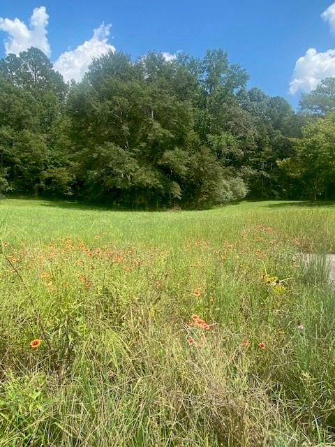 1764 Flatbottom Road Ball Ground, GA 30107 - Photo 3 of 5 a view of outdoor space and yard