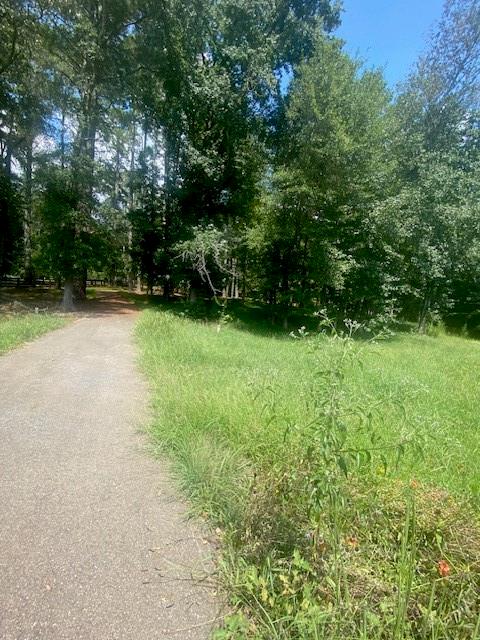 1764 Flatbottom Road Ball Ground, GA 30107 - Photo 4 of 5 a view of garden with trees
