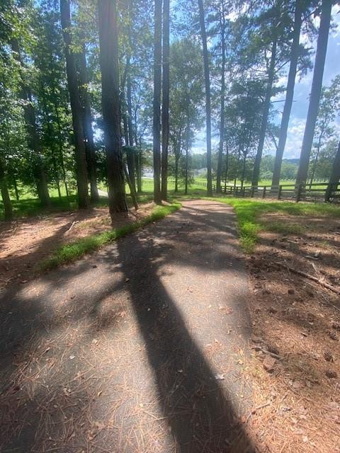 1764 Flatbottom Road Ball Ground, GA 30107 - Photo 5 of 5