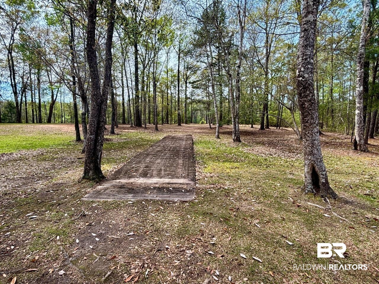 9081 Marlin Street Stockton, AL 36579 - Photo 6 of 10 community access to the Tensaw River