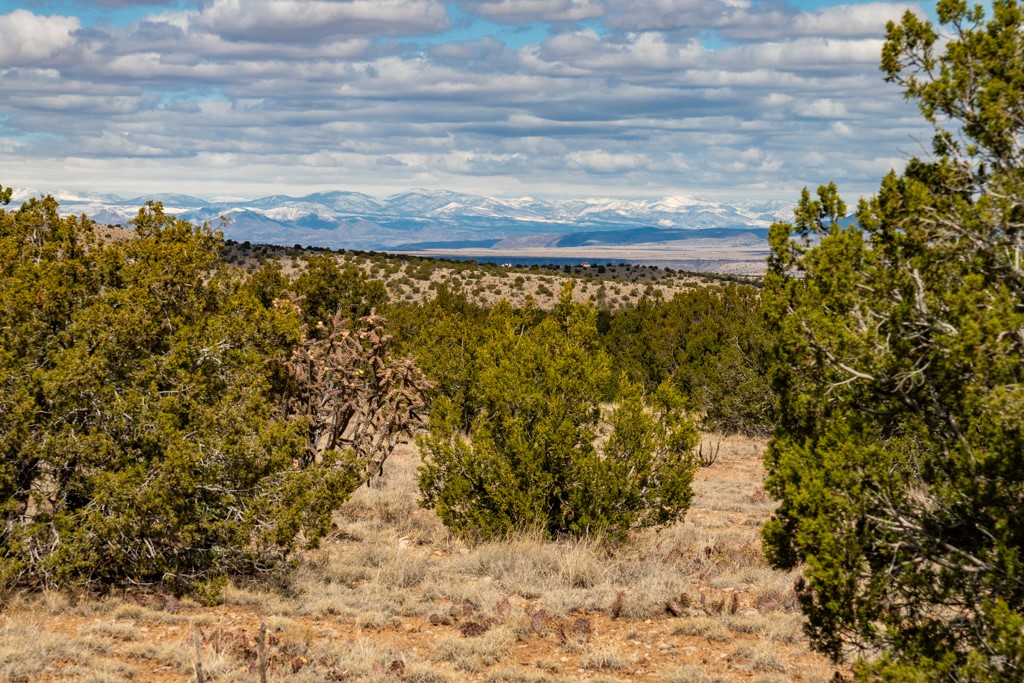 Tbd Hanuman Road Cerrillos, NM 87010 - Photo 26 of 33