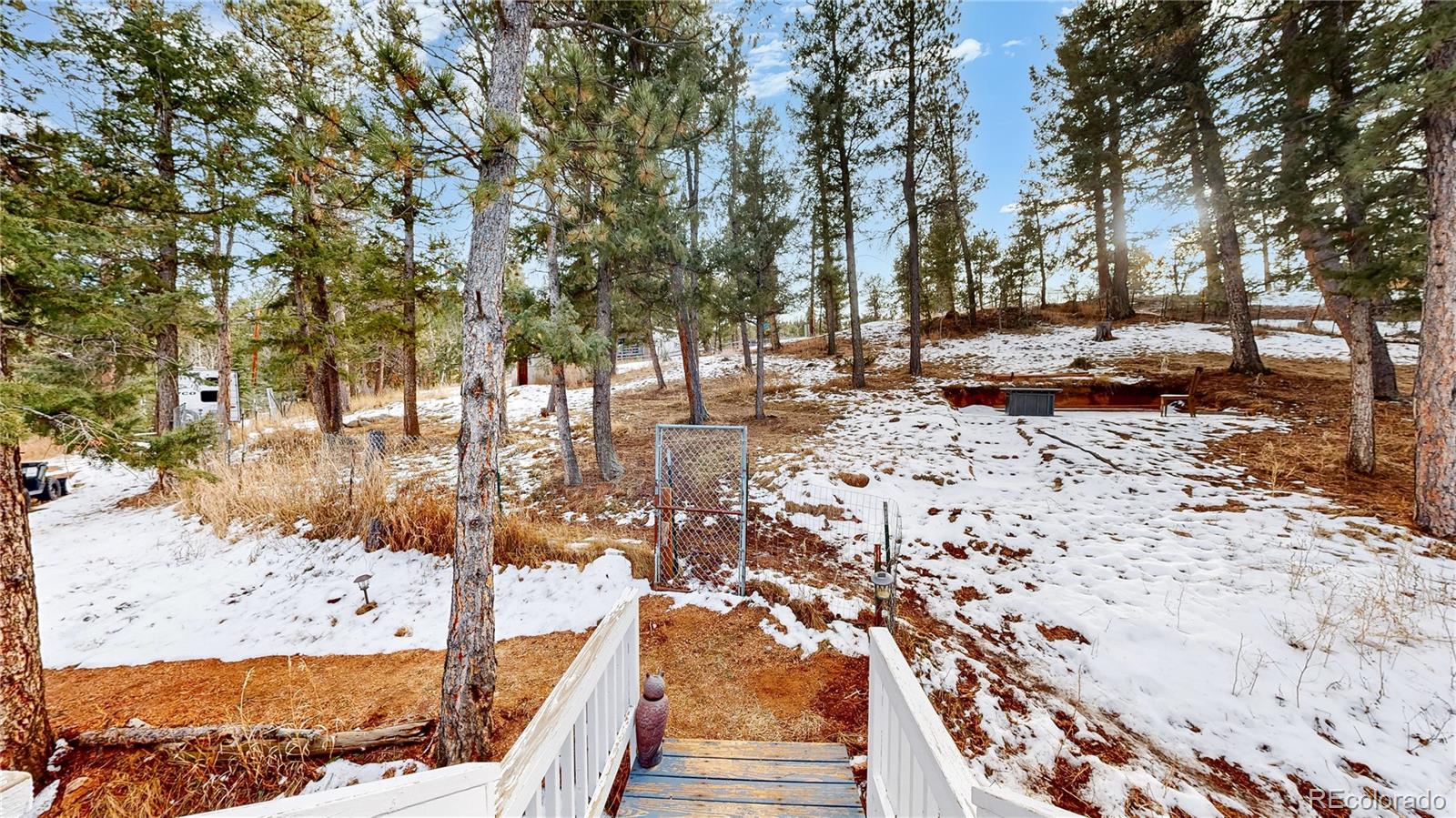 33988 Jenifer Road Pine, CO 80470 - Photo 42 of 50