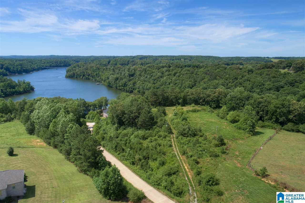 0 Ridge Drive, Unit 58 PART 54 & BOAT RAMP Arley, AL 35541 - Photo 16 of 27