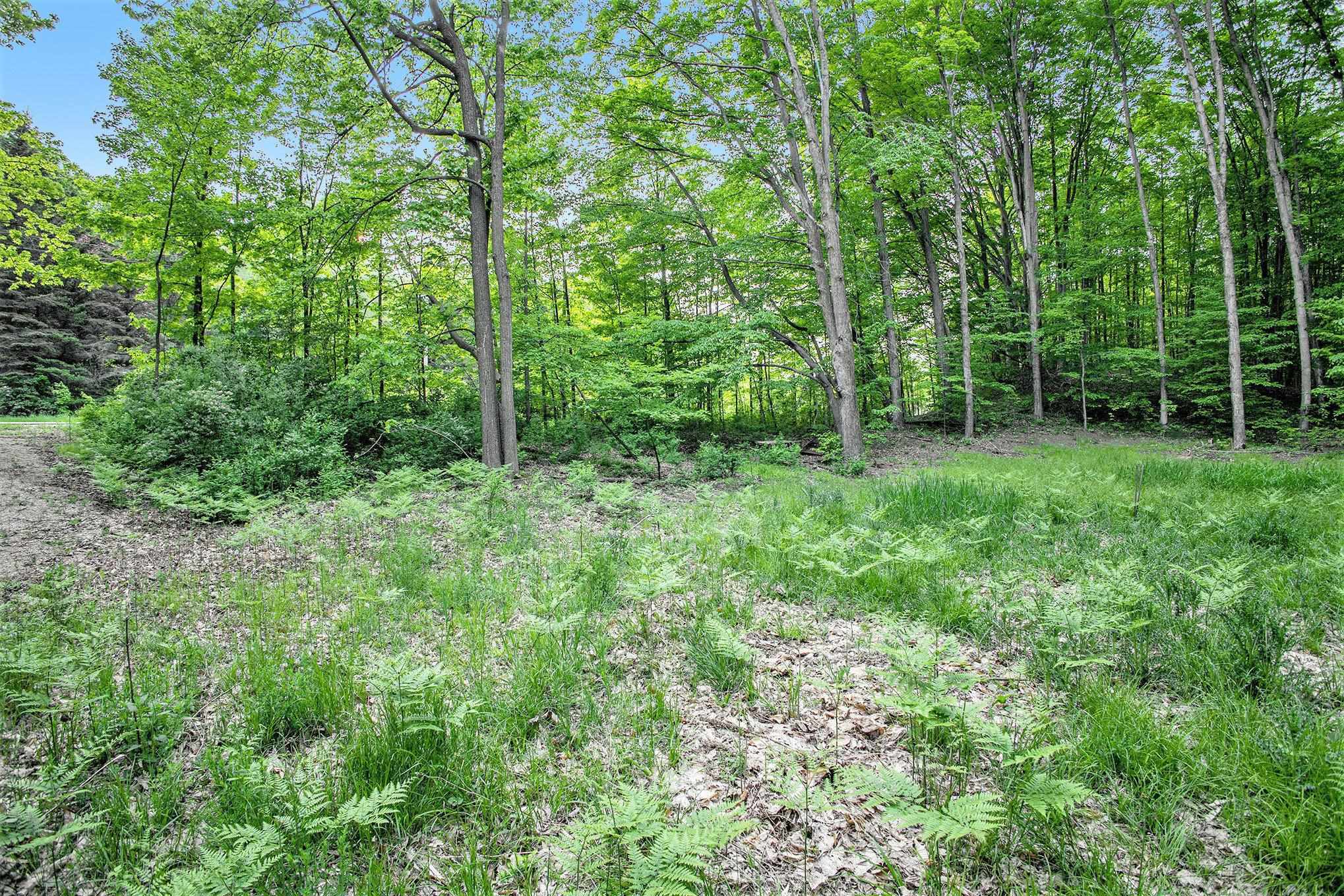 0 Warren Road Beulah, MI 49617 - Photo 10 of 19 Gallery Image 10