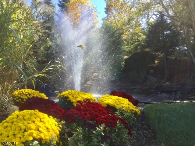 a view of an outdoor space and yard