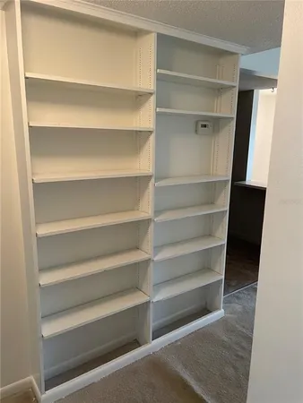 a view of walk in closet with empty racks