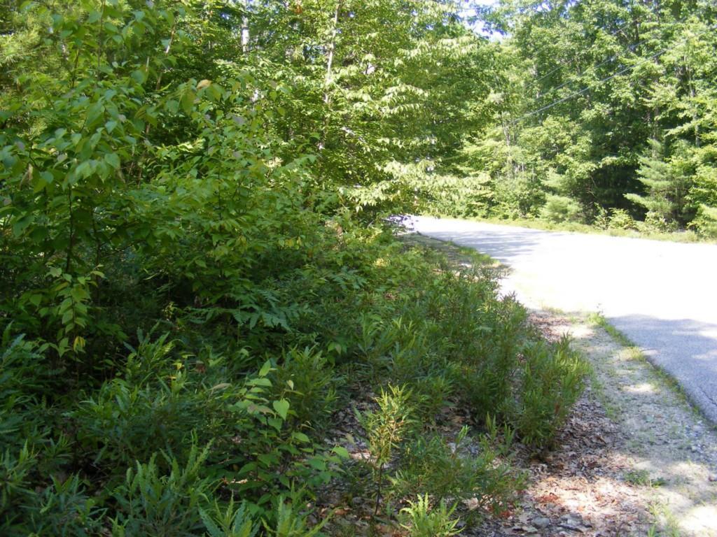 O O Sadie Lane/poor Farm Road Lyman, ME 04002 - Photo 5 of 6 Photo