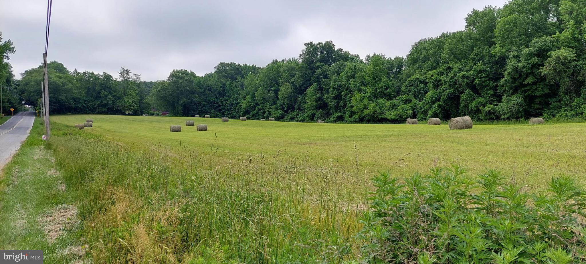 4.03 Ferrell Road Mullica Hill, NJ 08062 - Photo 11 of 13