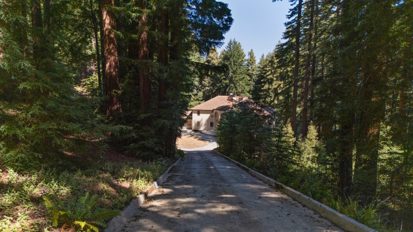 1 Reids Roost Road Woodside, CA 94062 - Photo 16 of 24 a view of a yard with large trees