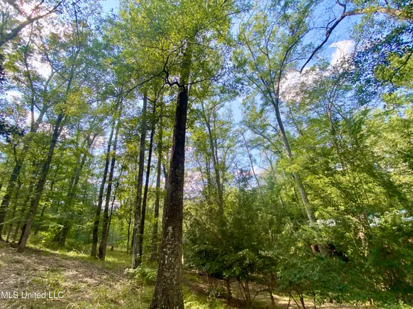 $249,000 | 140 Westover Drive, Hazlehurst, MS 39083