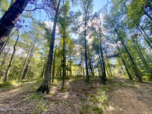 $249,000 | 140 Westover Drive, Hazlehurst, MS 39083