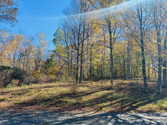 36 Augur Hole Road Marlboro, VT 05301 - Photo 22 of 32
