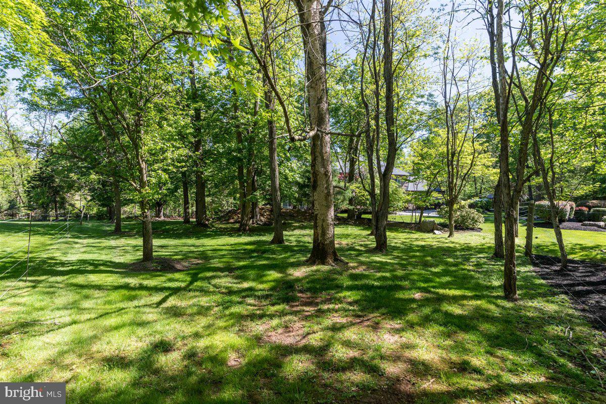 250 Arreton Road Princeton, NJ 08540 - Photo 39 of 41 Rear Yard
